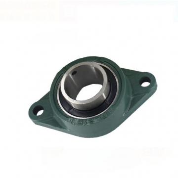 SKF SYNT 55 LTF Bearing Unit