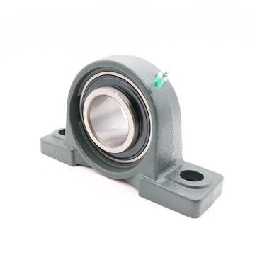 SKF SYNT 55 LTF Bearing Unit