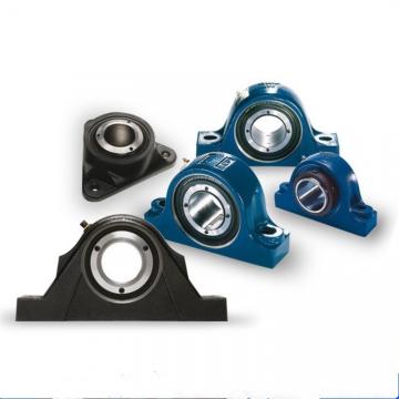 SKF SYNT 55 LW Bearing Unit