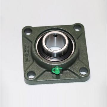 SKF SYNT 55 LTF Bearing Unit