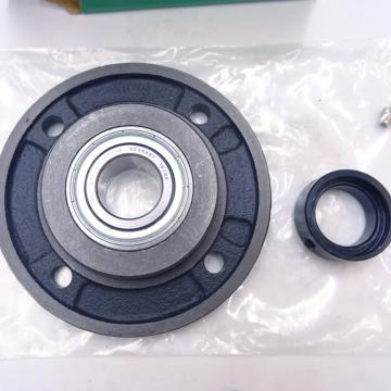 INA RTUE35 Bearing Unit