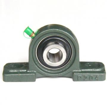 INA RTUE45 Bearing Unit