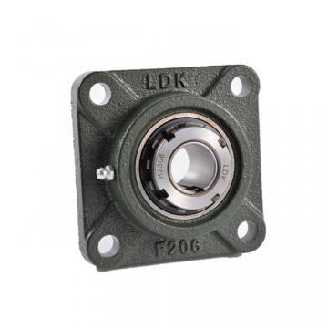 INA RTUE75 Bearing Unit