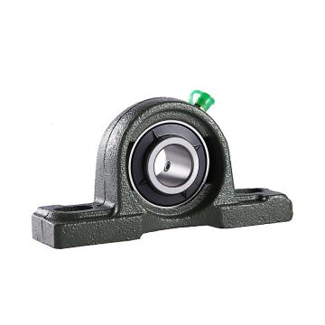 INA RTUE45 Bearing Unit