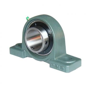 INA RTUE35 Bearing Unit