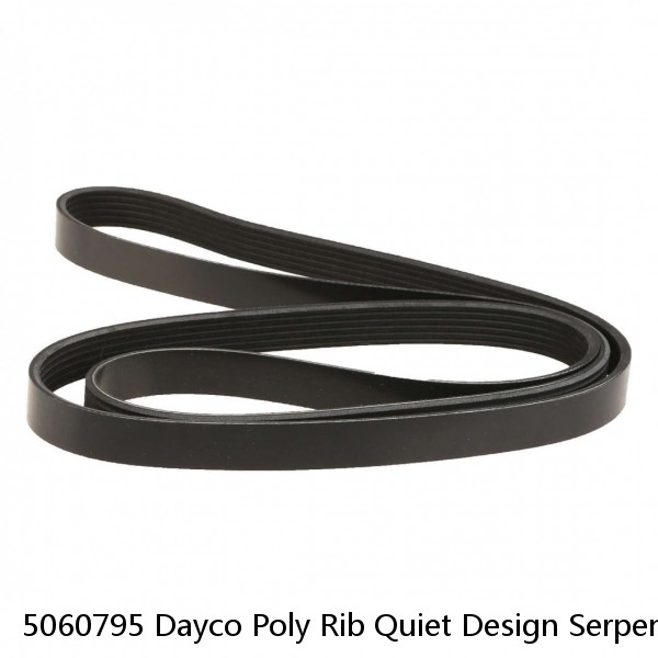 5060795 Dayco Poly Rib Quiet Design Serpentine Belt Made In USA 6PK2020