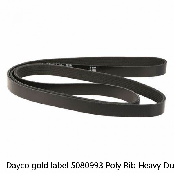 Dayco gold label 5080993 Poly Rib Heavy Duty Belt 8pk2520 ~ FORD F-150 5.4L