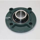 SKF SYNT 70 FW Bearing Unit