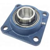 SKF SYNT 55 LTS Bearing Unit