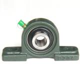 INA RTUEY80 Bearing Unit