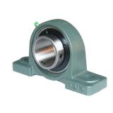 INA TCJT25-N Bearing Unit